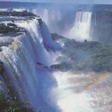 ブラジル滝