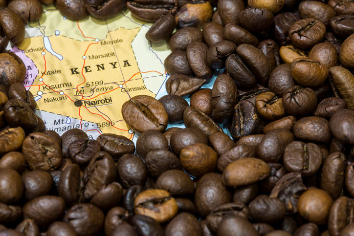 人気提案 アフリカ３名産プレミアムコーヒー豆 エチオピアタンザニアケニア 100gX3